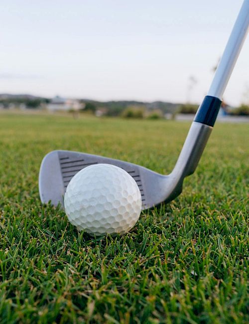 A golf ball sits beside a metal club on a lush green golf course, with a distant landscape under a partly cloudy sky.
