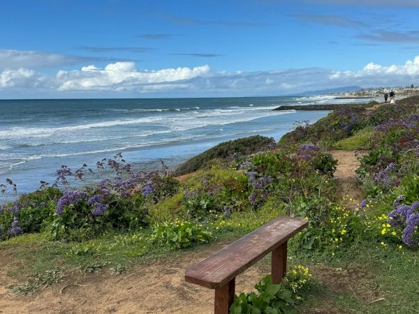A coastal bluff with a wooden bench, purple flowers, and a blue sea under a partly cloudy sky, inviting a peaceful seaside view.