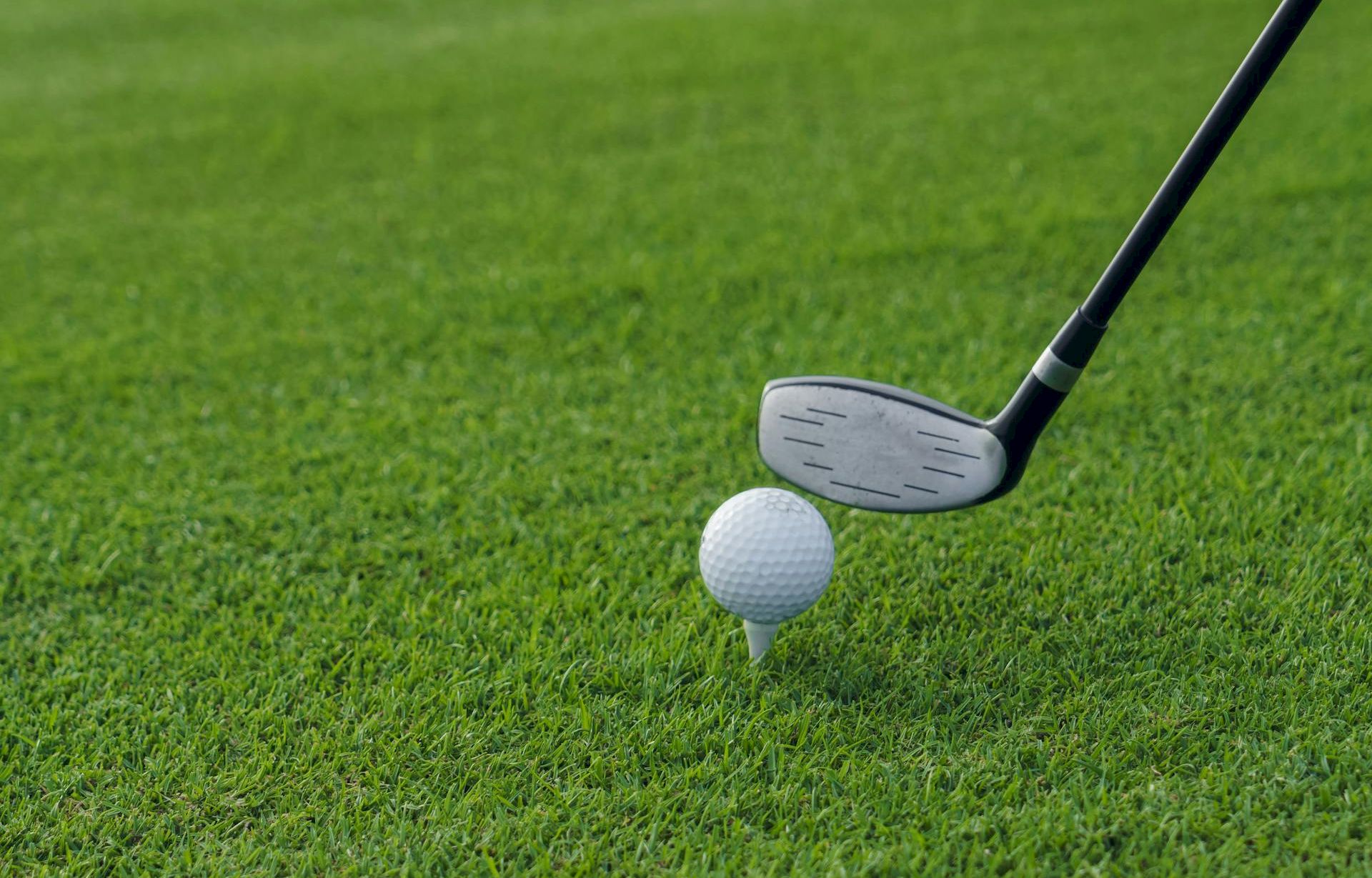 A golf club and white ball rest on bright green grass, ready for a swing.