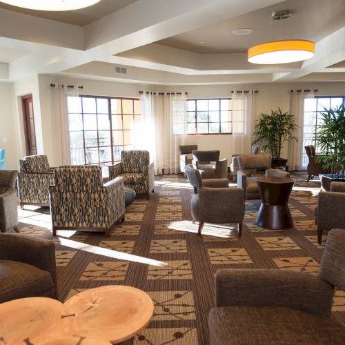 A bright lounge with patterned carpet, upholstered chairs, a round coffee table, large windows, and tall potted plants.