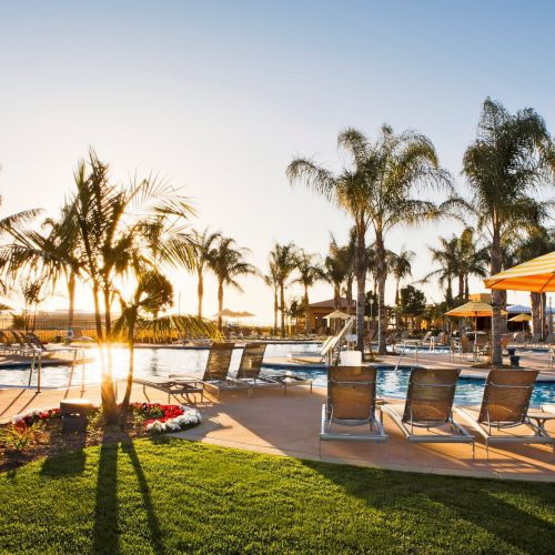 A sunny resort pool deck with palm trees, lounge chairs, and striped umbrellas catching golden hour light over the water.