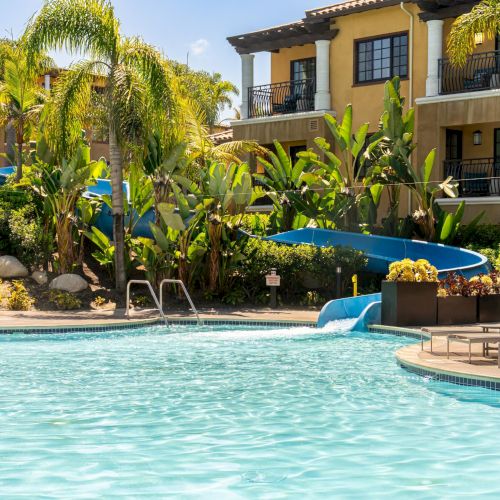 A sunny resort pool with clear water, a blue waterslide, lounge chairs, and lush palm trees beside a beige two-story building.