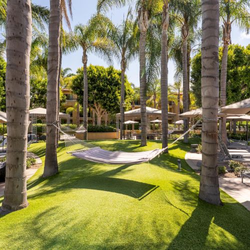 Sunny resort courtyard with tall palms, green lawn, hanging hammocks, and lounge chairs under shade umbrellas.