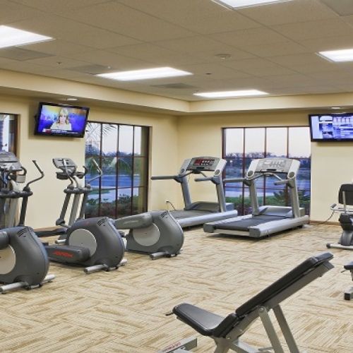 A bright gym with cardio machines&mdash;treadmills and ellipticals&mdash;facing large windows and TV screens.